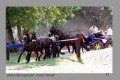 Michael Freund GER, Donaueschingen 2003