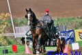 Martina Kläy CA Worb 2003 mit Indo