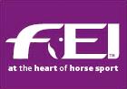 fei_logo