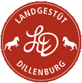 l_dillenburg-lg